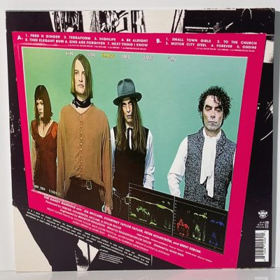 The Dandy Warhols – Why You So Crazy