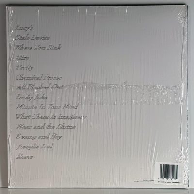 Girlpool – What Chaos Is Imaginary