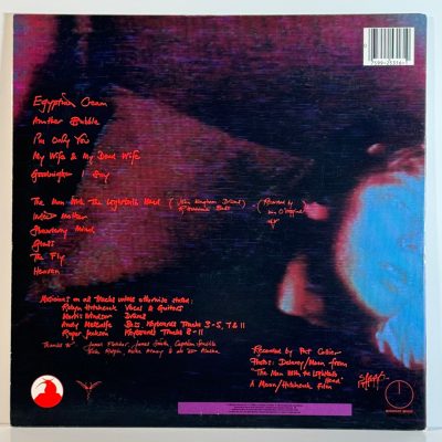 Robyn Hitchcock & The Egyptians – Fegmania!