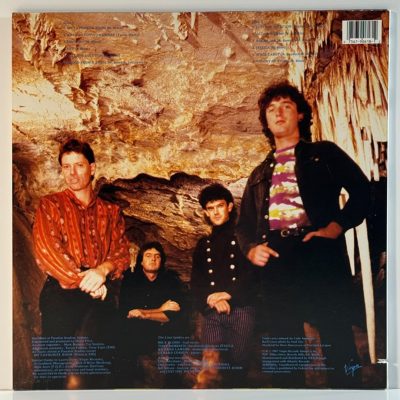 The Lime Spiders – The Cave Comes Alive!