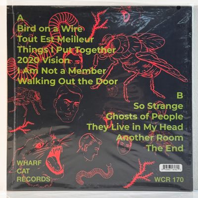 Bush Tetras – They Live In My Head