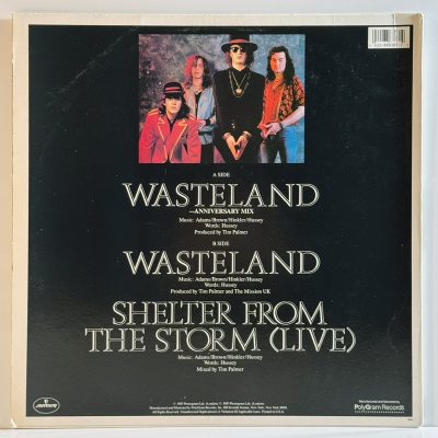 The Mission UK – Wasteland