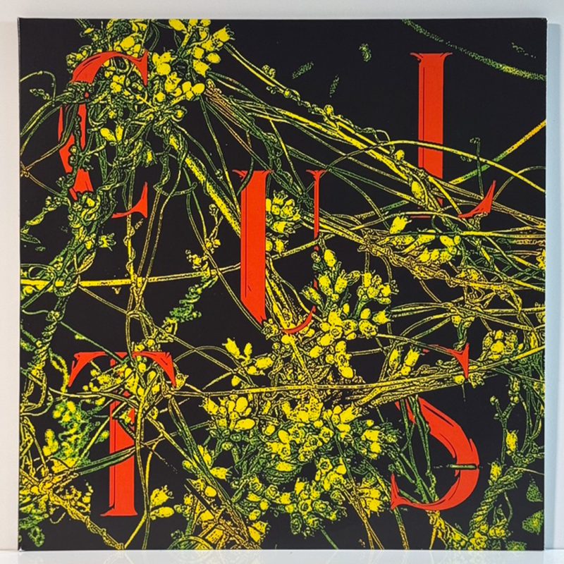 Cults – Host
