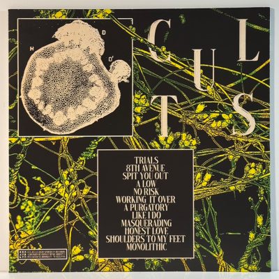 Cults – Host