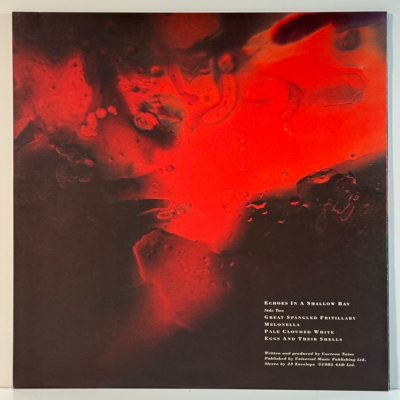 Cocteau Twins – Tiny Dynamine / Echoes In A Shallow Bay