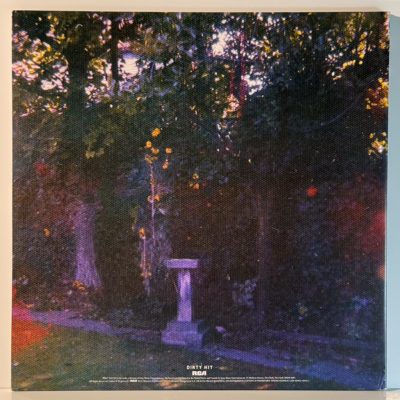 Wolf Alice – Visions Of A Life