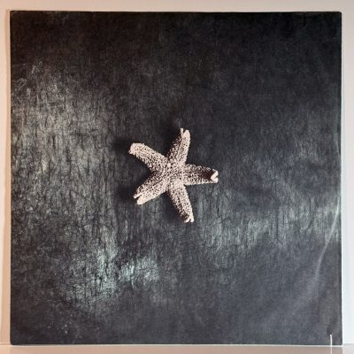 The Church - Starfish