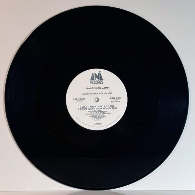 Transvision Vamp – I Want Your Love
