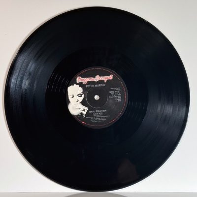 Peter Murphy – Final Solution