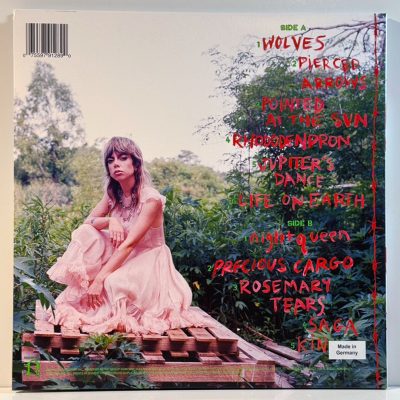 Hurray For The Riff Raff – Life On Earth