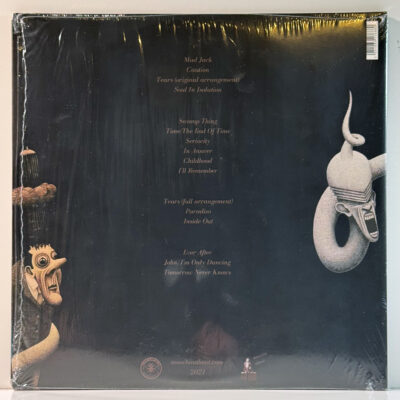 The Chameleons – Strange Times