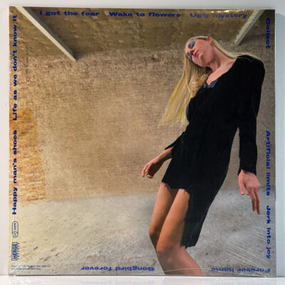 Torres – What An Enormous Room