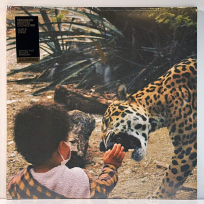 Unknown Mortal Orchestra – V