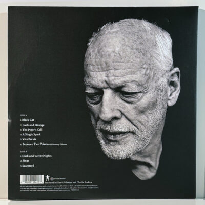 David Gilmour – Luck And Strange